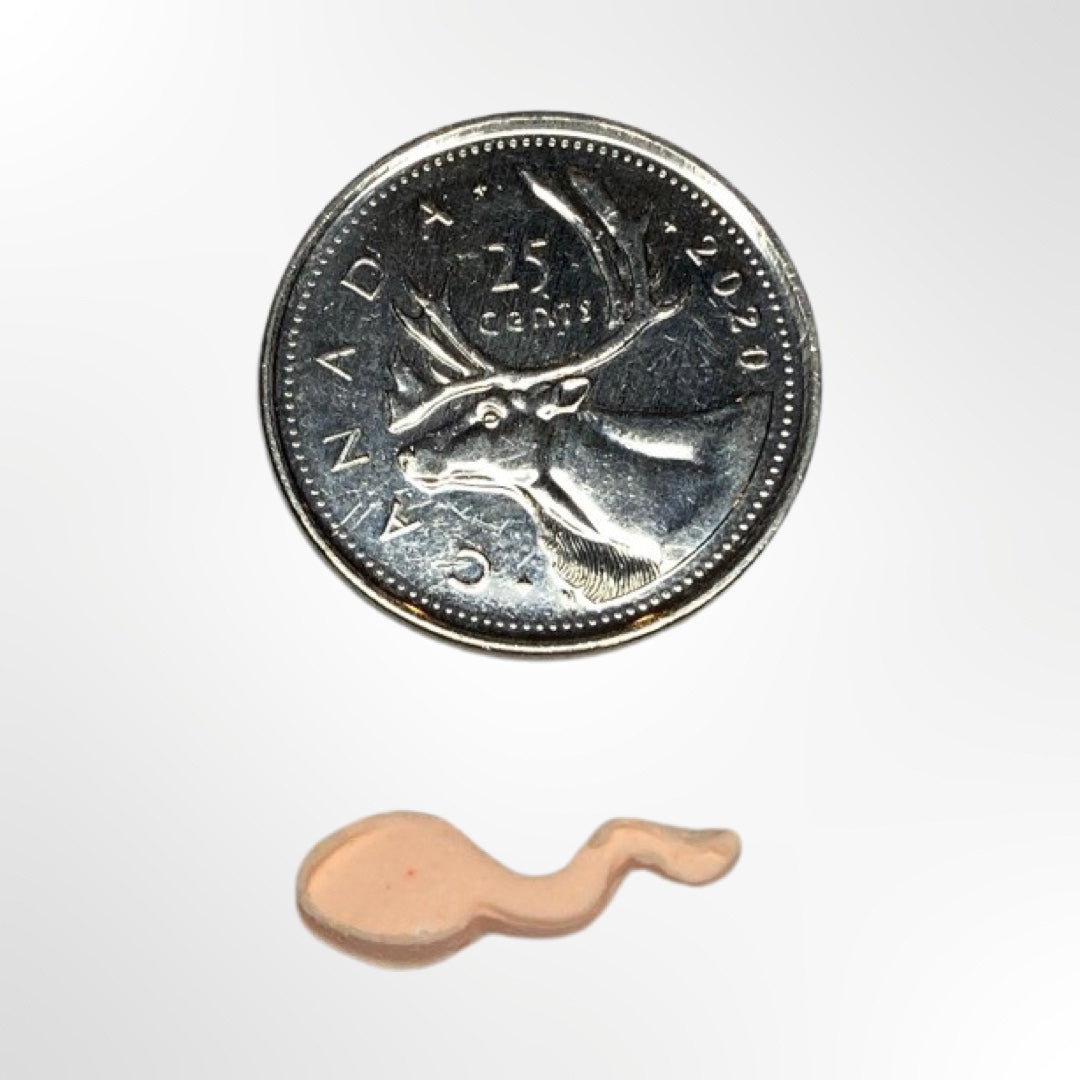 Tadpole / Sperm Sprinkle Maker Mold