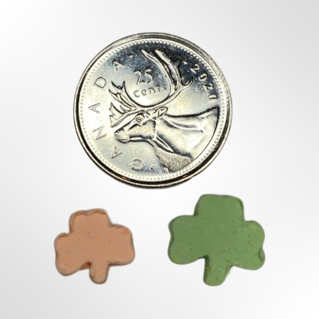 Shamrock Sprinkle Maker Mold STL File
