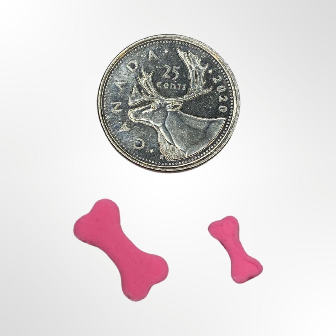 Bone Sprinkle Maker Mold STL File