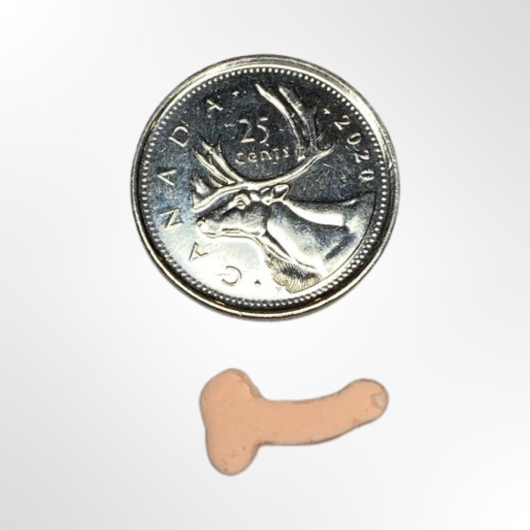 Fichier STL de moule de fabricant de saupoudrage de pénis