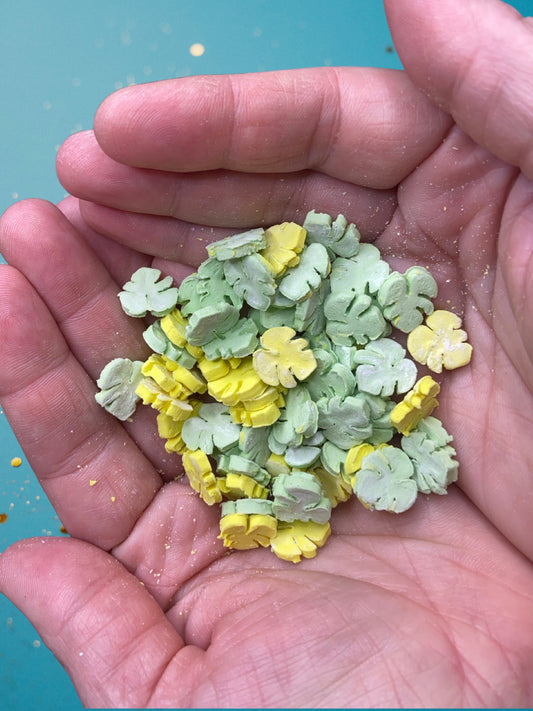 Monstera Leaf Sprinkle Maker Mold STL File