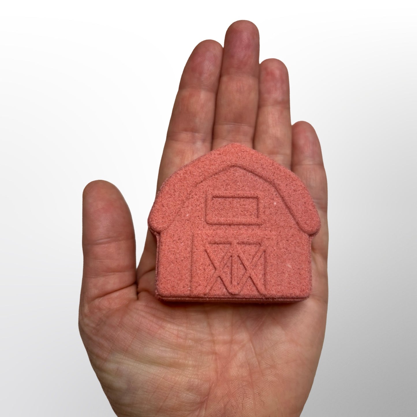 Barn Bath Bomb Mold