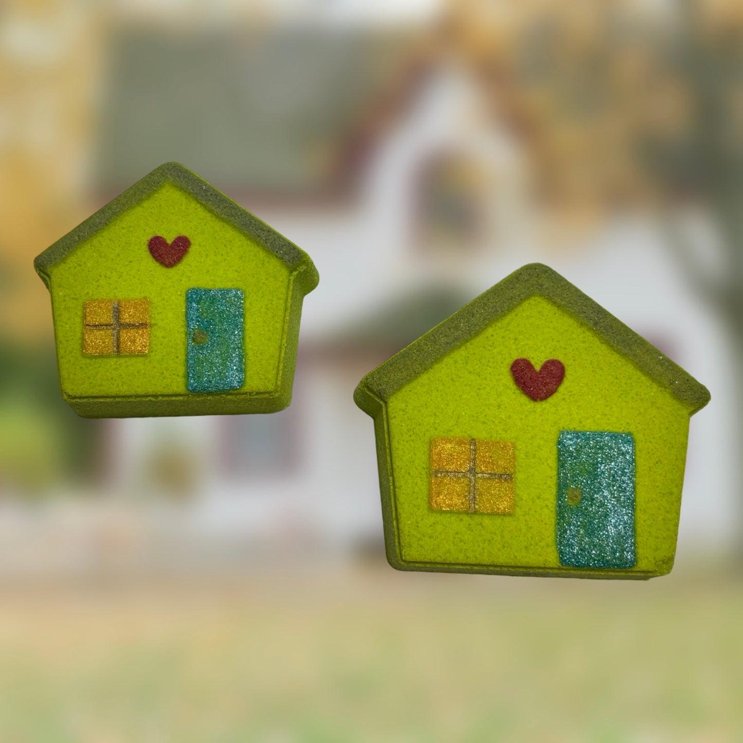 House Bath Bomb Mold