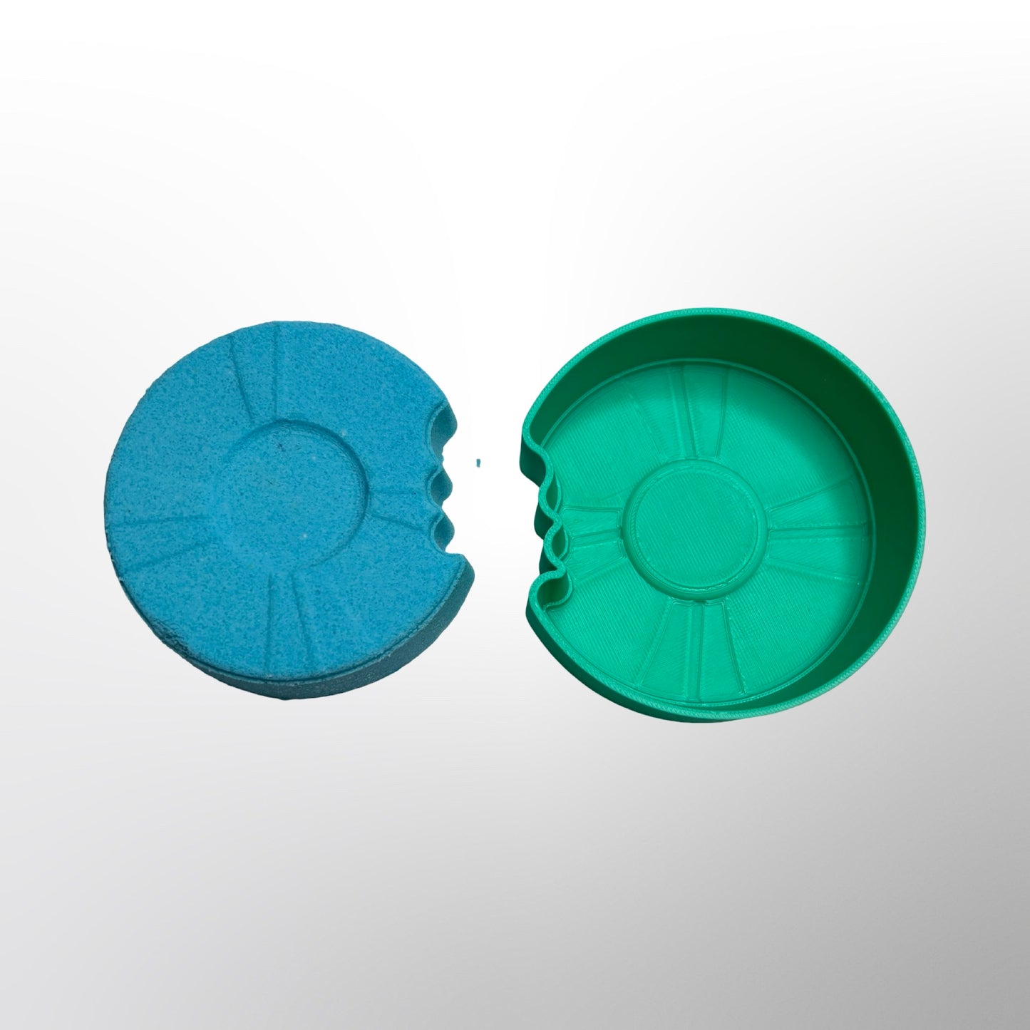 Bitten Life Preserver Bath Bomb Mold