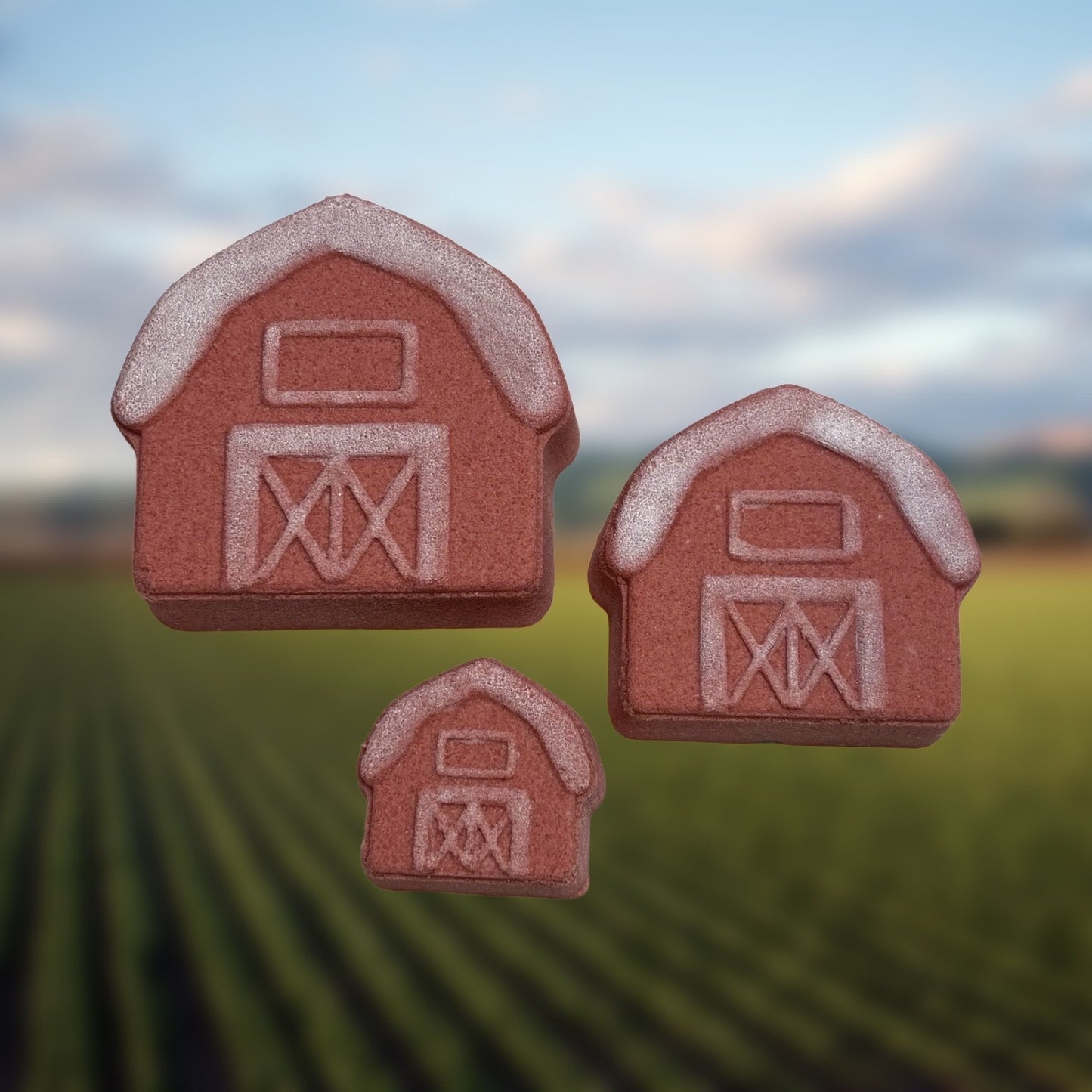 Barn Bath Bomb Mold