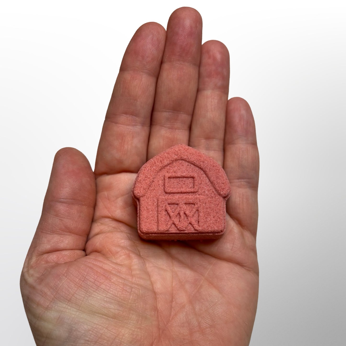 Barn Bath Bomb Mold