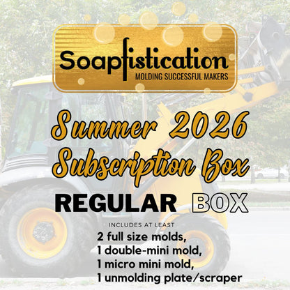 Boîte d'abonnement au moule pour bombes de bain régulières