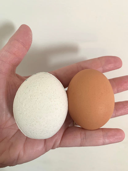 3D Egg Bath Bomb Mold